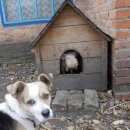 수정-114 이미지