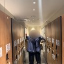 코스모스 | 부산 가성비 숙소 추천 아늑 리조트 앤 스파 해운대점 내돈내산 코스모스 매화 비교 후기