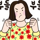 돈그라미 이미지