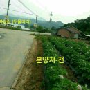 관천리 이미지