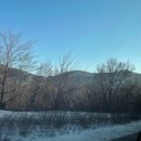 로시놀 스키샵 이미지