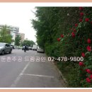 동북아파트 입구 이미지