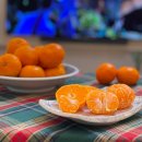 하례농산 | 하례농산의 제주 레드향 명절 선물로 드리기