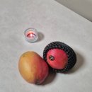 약산면-2 | 2026.02.21 - 어쩌다 등산... 하지만 즐거웠어!! 완도 삼문산