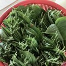 계절반찬 - 성남시 중원구 둔촌대로 300 | 계절반찬