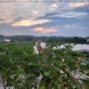 동녁농장 이미지