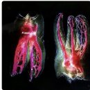 마이스터 치과의원 이미지