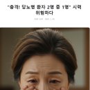 설날...강아지기침..기사들...비행기사고들 ...불법광고물...자비출판 반딧불이​ 이미지