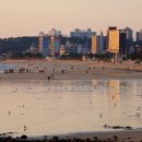 파로스당구장 이미지