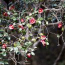 옥룡사지 이미지