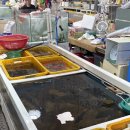 사천상회 | 사천 아르떼리조트 근처 회 포장 추천 삼천포용궁수산시장 은진상회