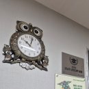 호호공방 | 경기 성남 떡집 오색설기 디저트공방 후기