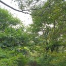 절물생태관리소 (절물자연휴양림) | 제주 비올때 갈만한곳 절물휴양림 장생의숲길