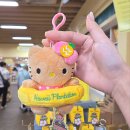 서울항공여행사㈜ | 여행사 추천 여행산책 내돈내산 하와이 신혼여행 허니문 다녀온 솔직후기