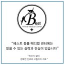 잠실베스트동물메디컬센터 이미지