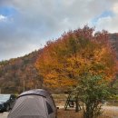 숲과개울펜션
