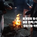 피톤치드캠핑장작 이미지