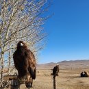 몽골여행(세쨋날) 이미지