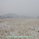 송동1교 - 철원군 | 송동1교