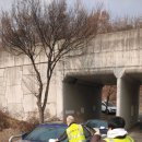 주정차29 이미지