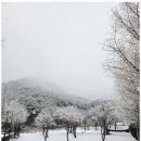 법흥캠핑장 이미지