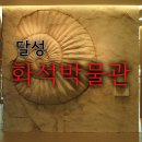 달성화석박물관 이미지
