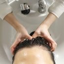 참좋은자동차관리센타 | 강남구청역 두피관리 탈모관리 제대로 관리 해주는 탑스칼프 논현점
