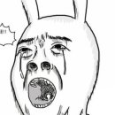 닥터씨 네이버블로그