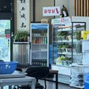 충남2호 | 서산맛집추천 우렁쌈밥정식 장수우렁쌈밥 2호점 내돈내산 후기