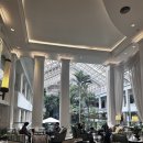 월풀빨래 | 태국 파타야 오션뷰 위치 좋은 가성비 5성급 리조트 두짓타니 파타야 주말 방문 후기