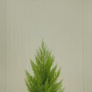 아델라농장 이미지