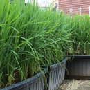 휘경어린이집 이미지