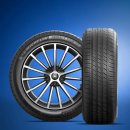 화성로 R | 화성 타이어 잘하는 집 그랜저 앞타이어 마모 및 후륜 크랙 발견, 미쉐린 프라이머시 투어 A/S 교체 후기