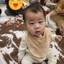 도레미 | [내돈내산]북이랑놀이랑 후기(천안 이마트 서북점)