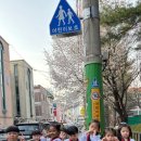 킨더숲유치원 이미지