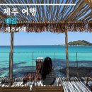 제주코 | 제주 오션뷰 카페 바다 코 앞 베릴 후기