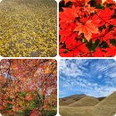 경주 나들이 이미지