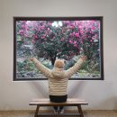 배동문농장 | 제주여행 5일차, 동백포레스트 동백 끝물 머체왓숲길 동선제면가 고기국수 동문시장 맛집들 기념품