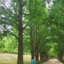 제이케이호텔 앤 리조트 (JK쉼) 이미지