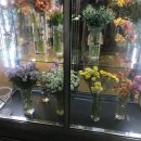 명가교동짬뽕 이미지