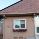 스테이118-1 | 충남 천안 촌캉스 독채펜션 스테이118-1 / 아기랑 아이랑 함께 숙소 추천!