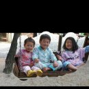 엄둔 솔밭 빌리지 이미지