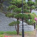밤꽃마을뜨란채 공인중개사사무소 이미지