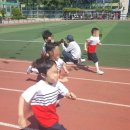 봉학병설유치원 이미지