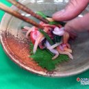 호렌소