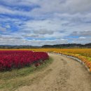 백마강생활체육공원 축구장 이미지