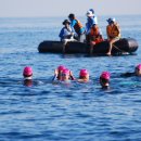 8회 경포바다핀 수영대회 (블루:성창모) 이미지