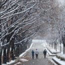 겨울나그네 이미지