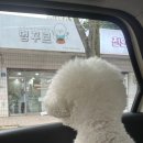 멍꾸르