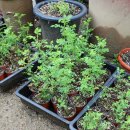 유곡농장 이미지